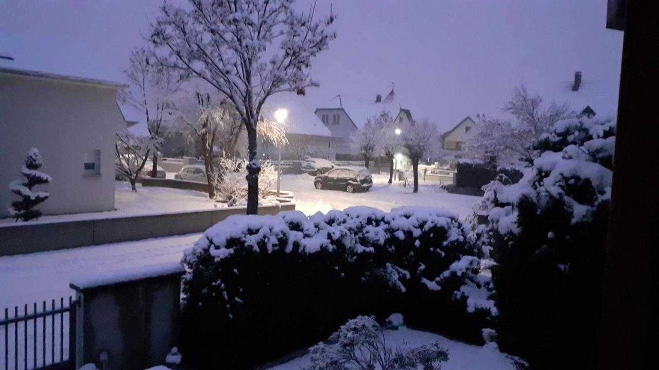 インガースハイム Aux Pieds Des Vignes Bed & Breakfast エクステリア 写真