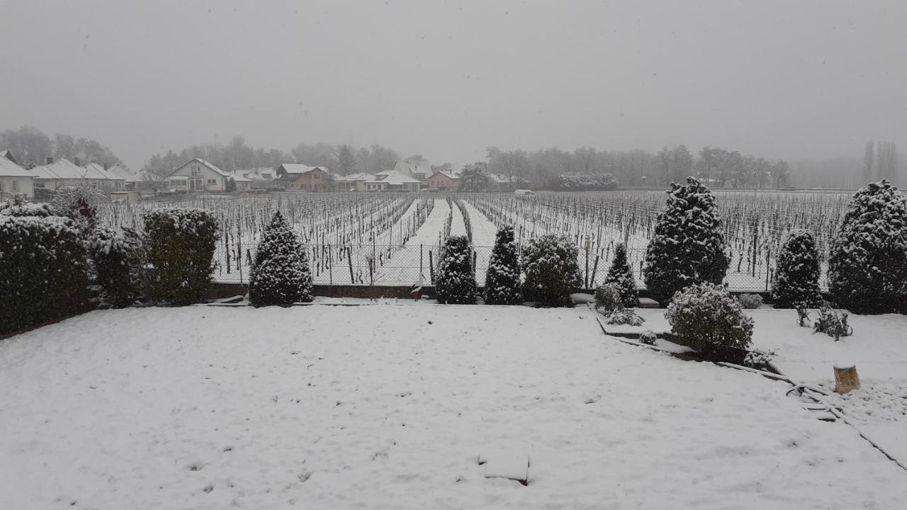 インガースハイム Aux Pieds Des Vignes Bed & Breakfast エクステリア 写真
