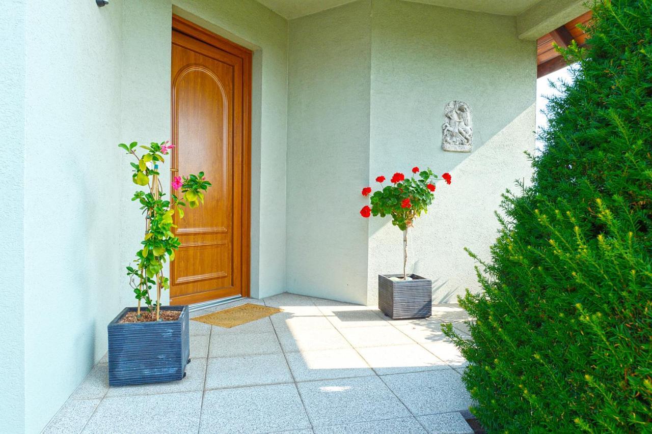 インガースハイム Aux Pieds Des Vignes Bed & Breakfast エクステリア 写真