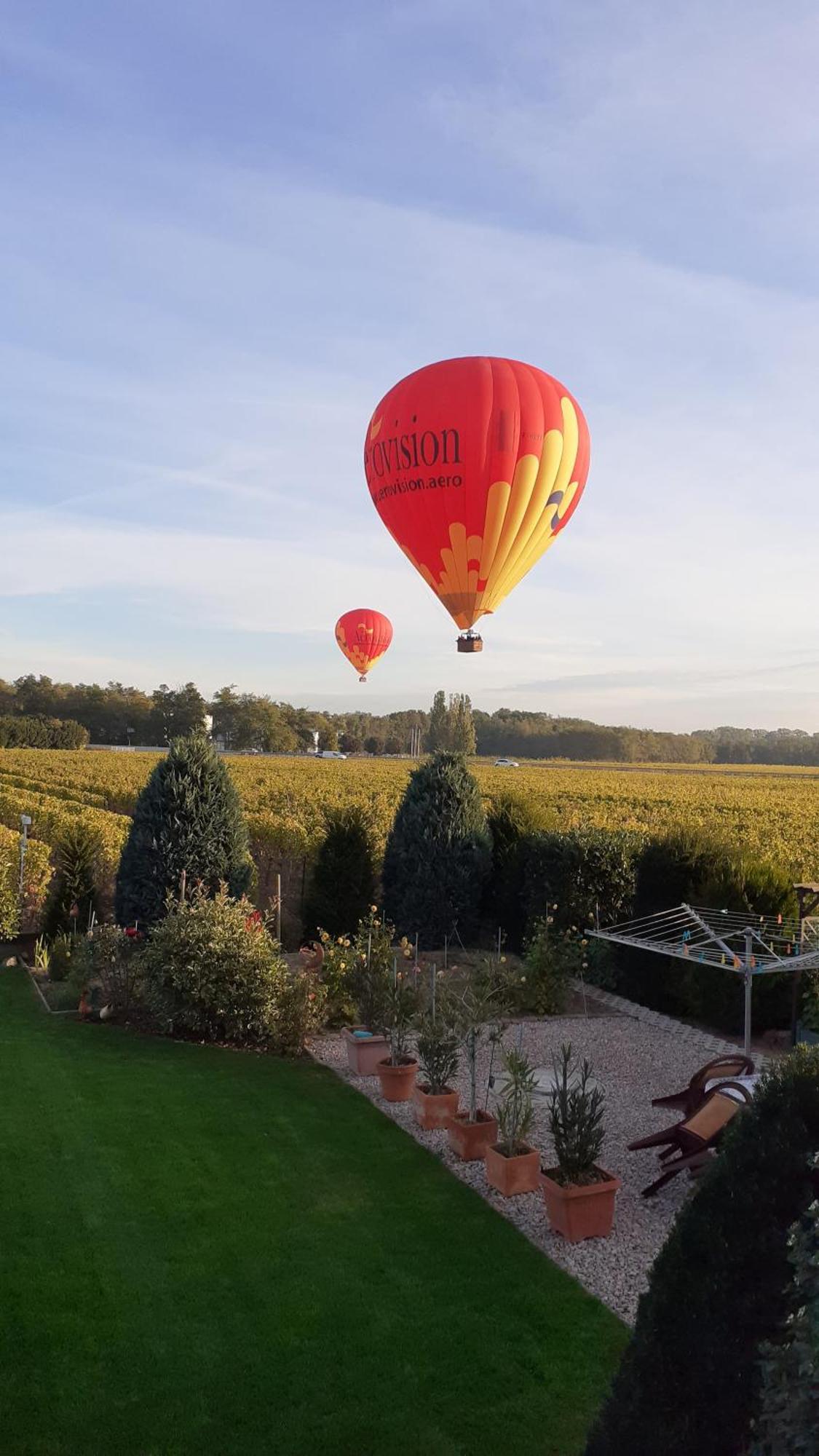インガースハイム Aux Pieds Des Vignes Bed & Breakfast エクステリア 写真